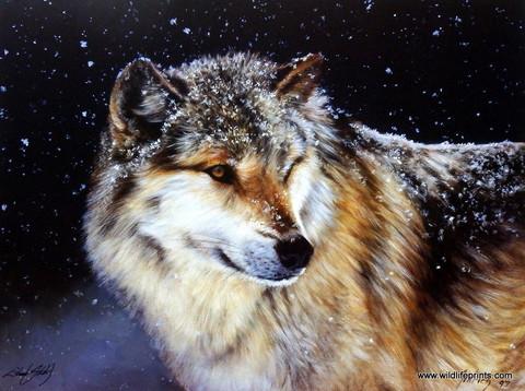 Wildlife print in Grey Wolf Nature Store